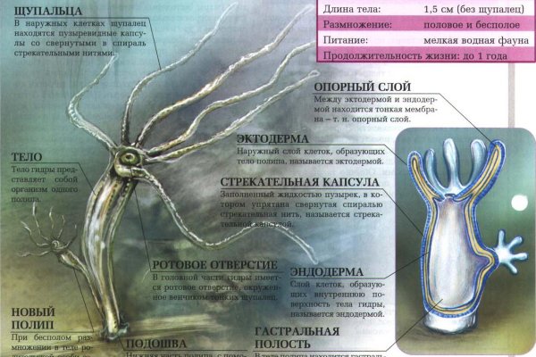 Ссылка на кракен маркет