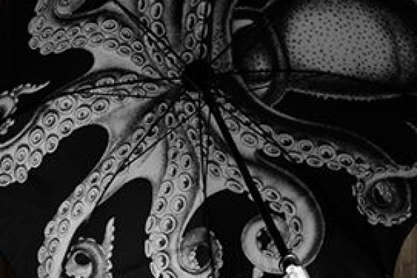 Kraken площадка