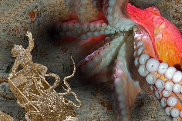 Kraken mirror