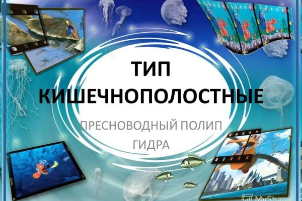 Кракен маркетплейс ассортимент