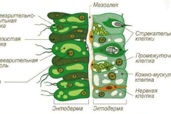 2krn ссылка