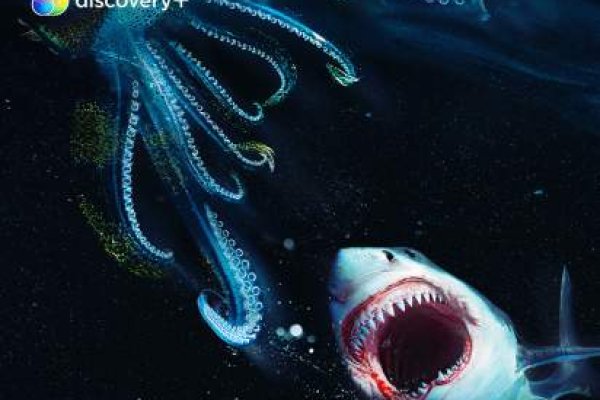Kraken com зеркало