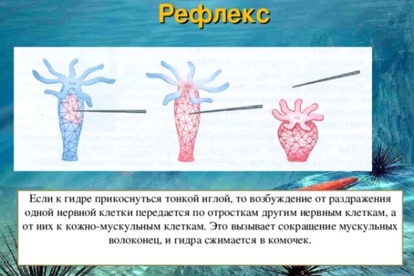 Kraken at зеркало