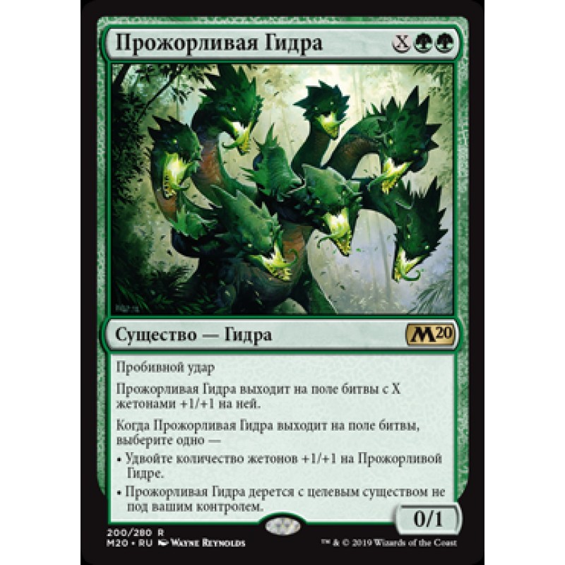 Kraken20 at